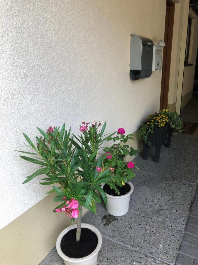 Ferienwohnung Am Gaessle Ettenheim Kültér fotó