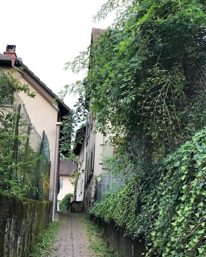 Ferienwohnung Am Gaessle Ettenheim Kültér fotó